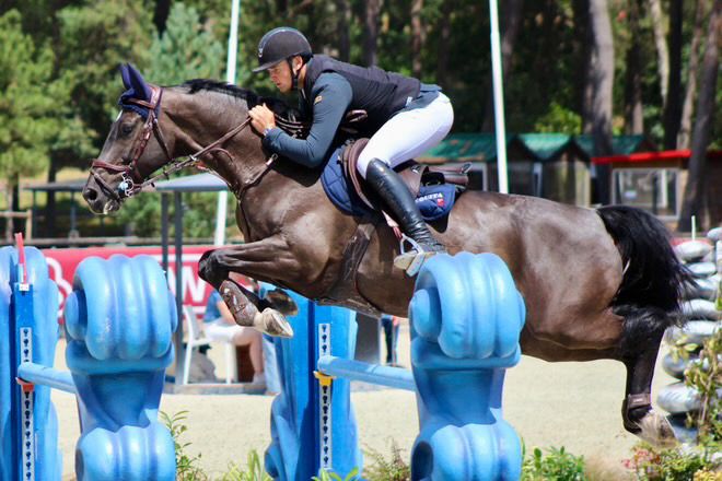Concours de saut