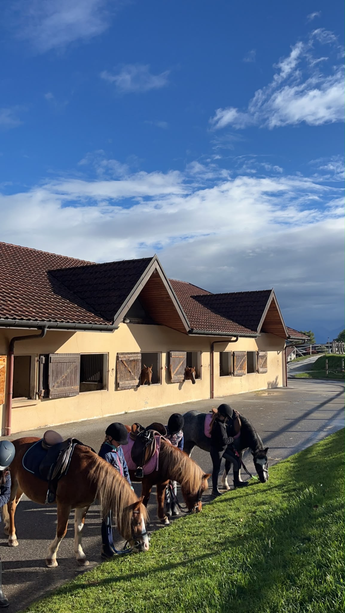 Poneys sellés devant les écuries de la pension du manège